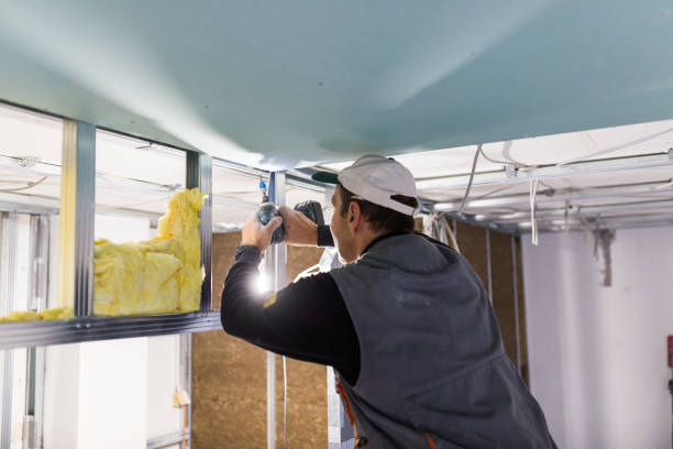 Best Eco-Friendly or Green Insulation Solutions  in Escanaba, MI