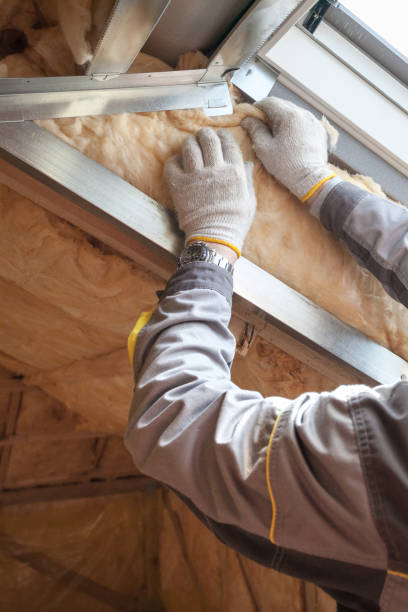 Best Insulation Air Sealing  in Escanaba, MI