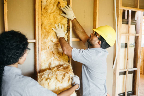 Best Batt and Roll Insulation  in Escanaba, MI