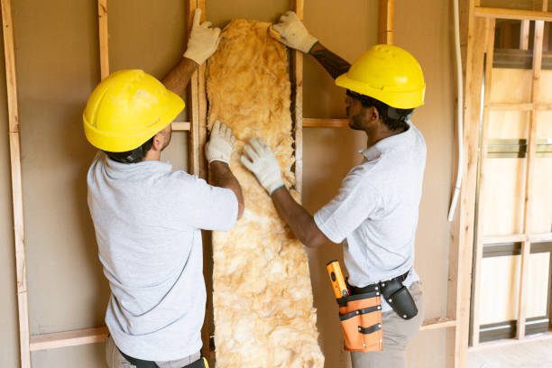 Best Spray Foam Insulation  in Escanaba, MI