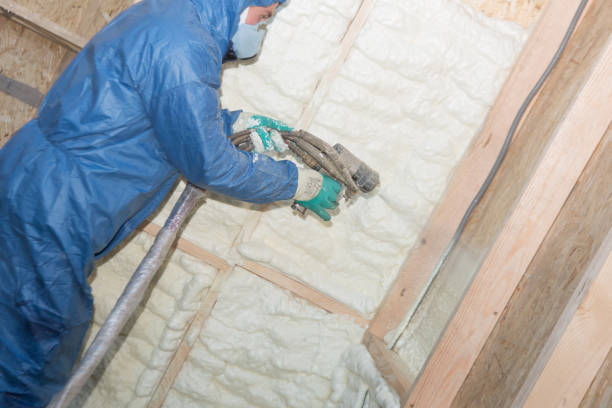 Best Wall Insulation Installation  in Escanaba, MI