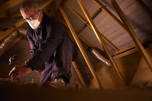 Best Attic Insulation Installation  in Escanaba, MI