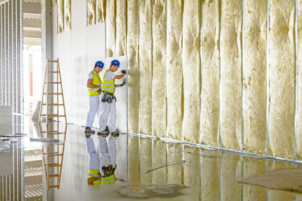 Best Basement Insulation  in Escanaba, MI